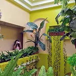 Hotel San Jorge