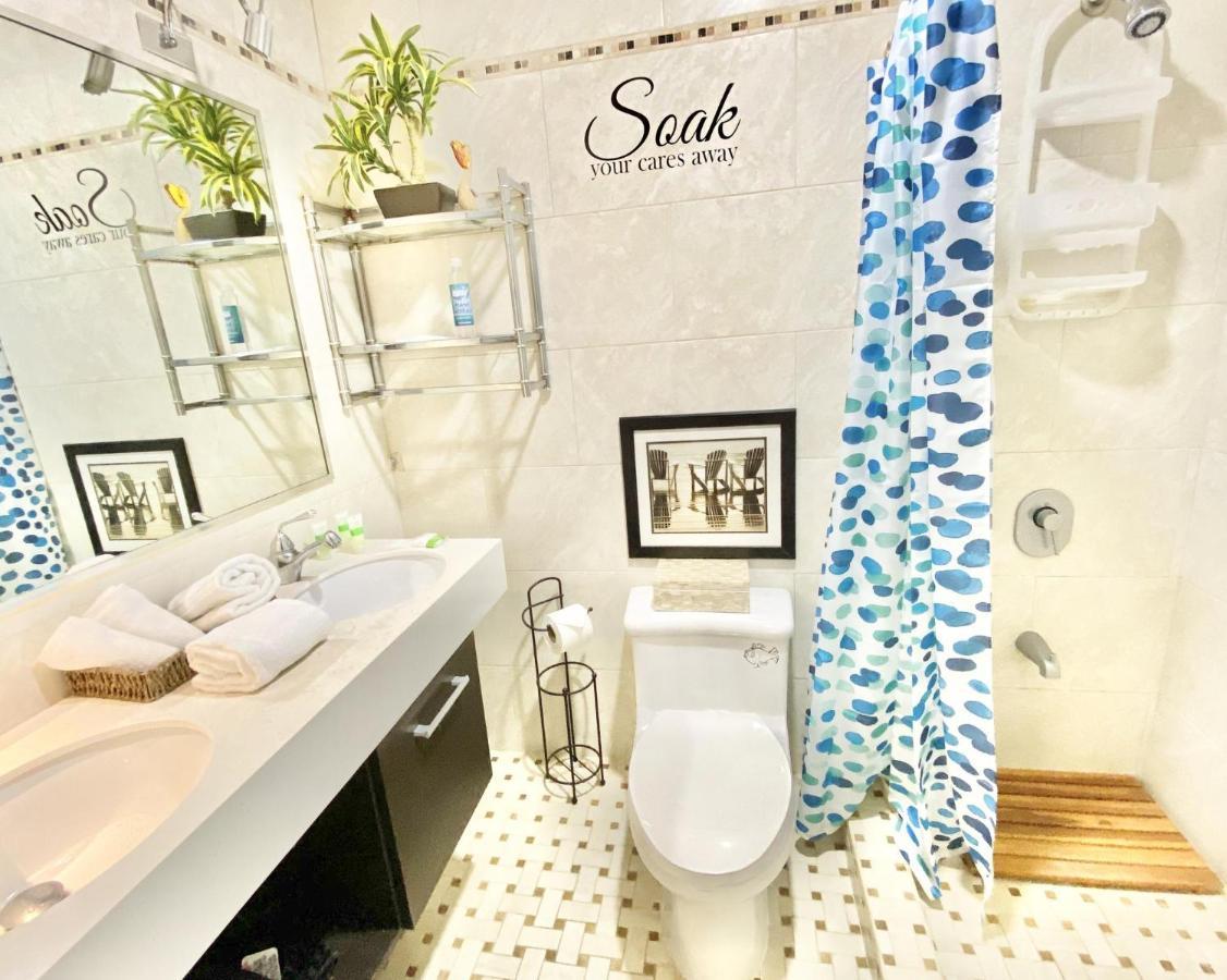 Kasa Seahorse Of The Sea - For 2 Block