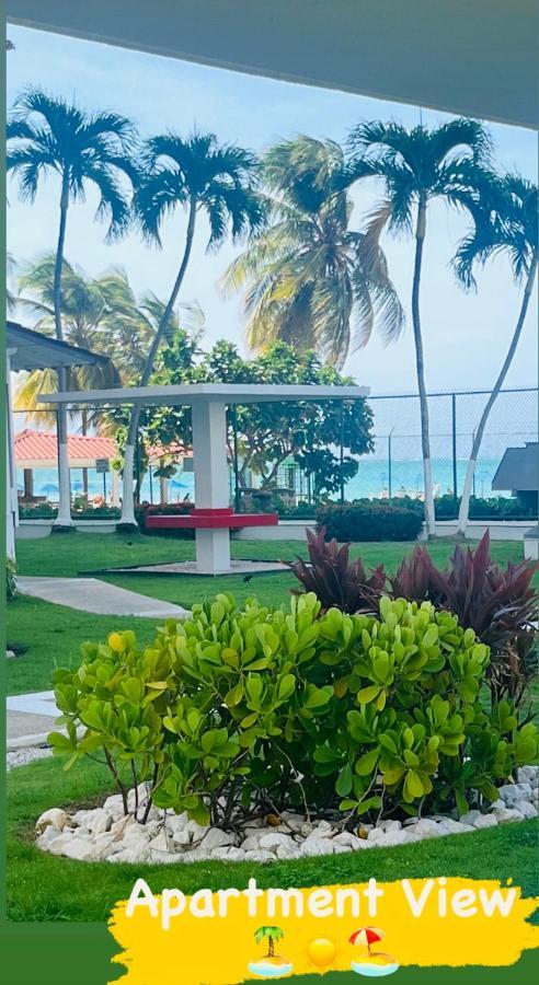 Apartamento Isla Frente A La Playa Y Piscina, Centrico Y Accesible
