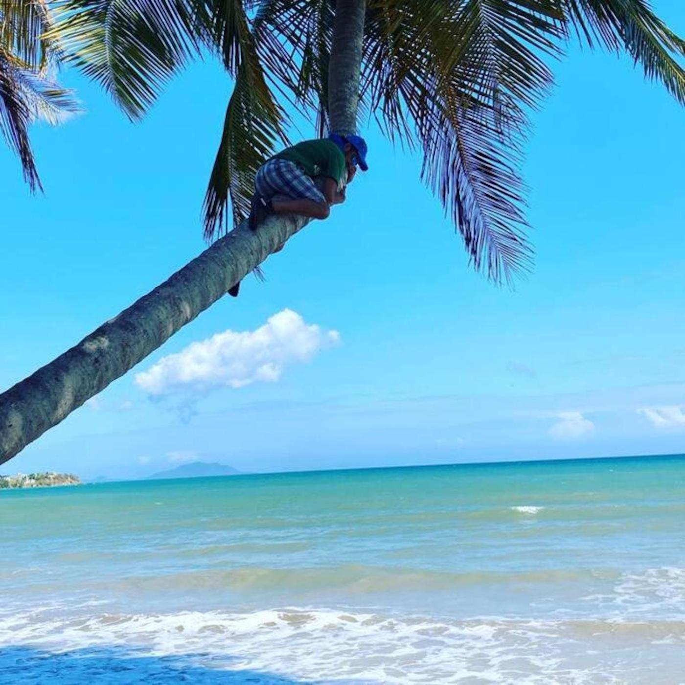 Сasa de vacaciones Casa Lima In Palmeras San Juan