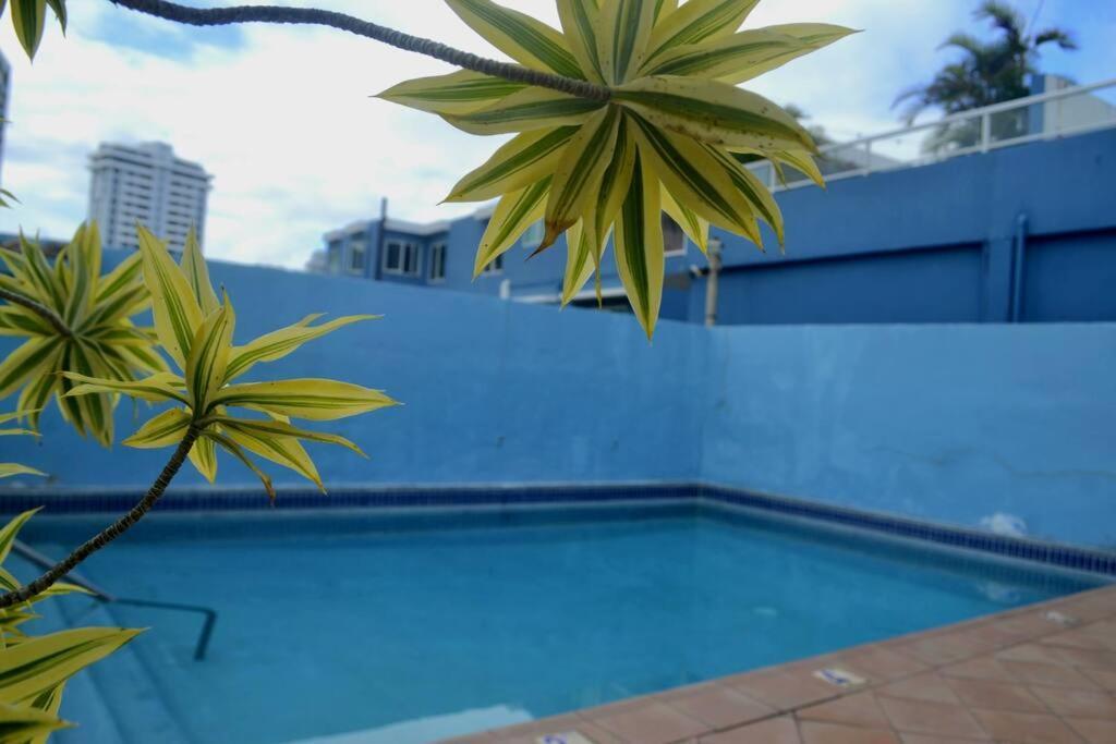 Condado Oasis On Ashford Ave: Oceanview And Pool San Juan