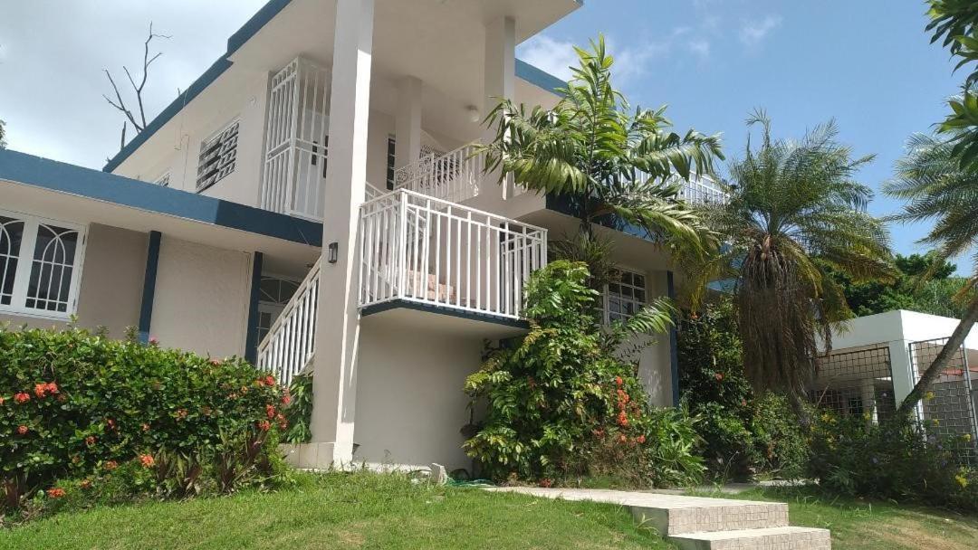 Bluehouse 1664 Apartamento *