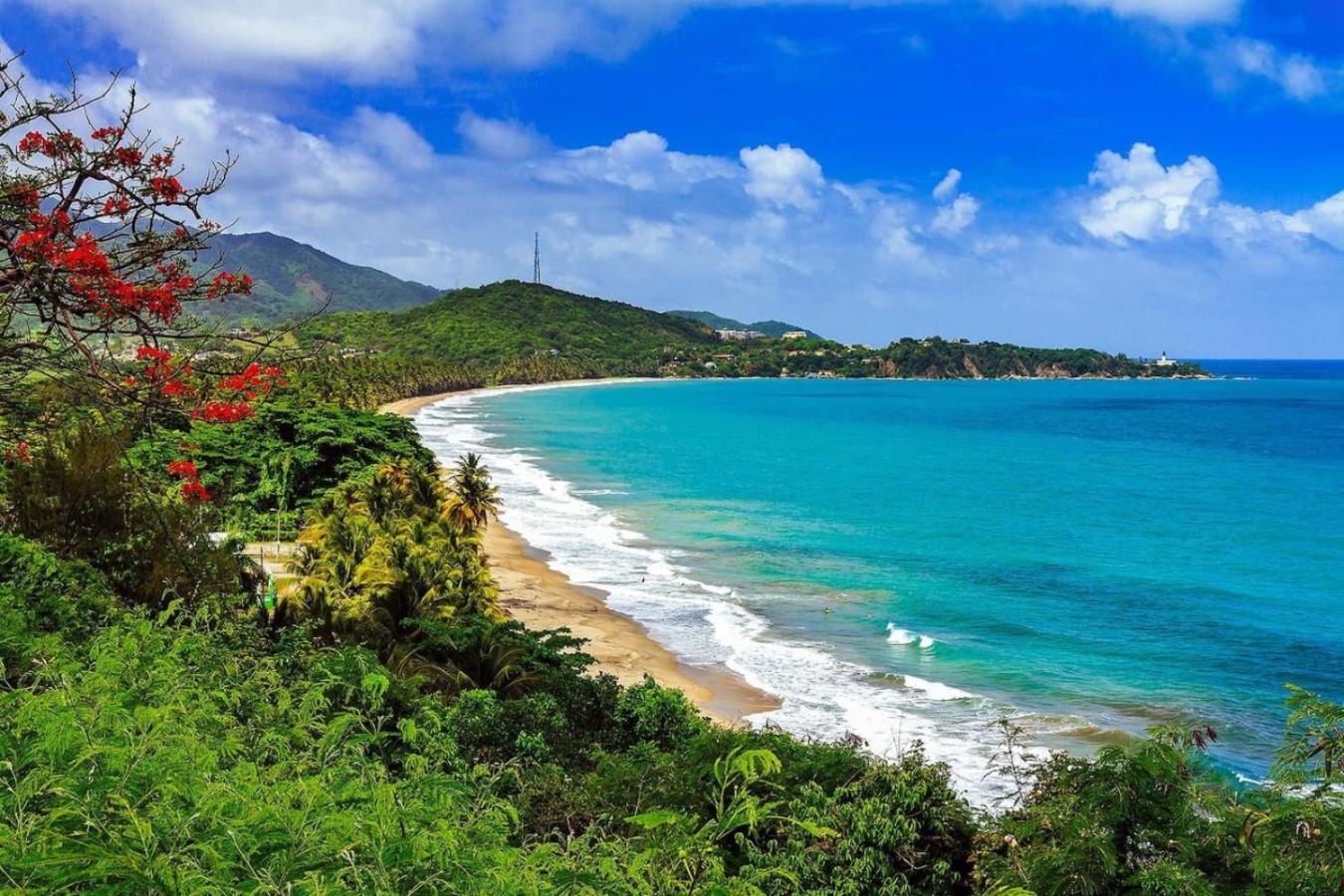 Apartment Cozy Pvt In The Heart Of Pr In Shared San Juan