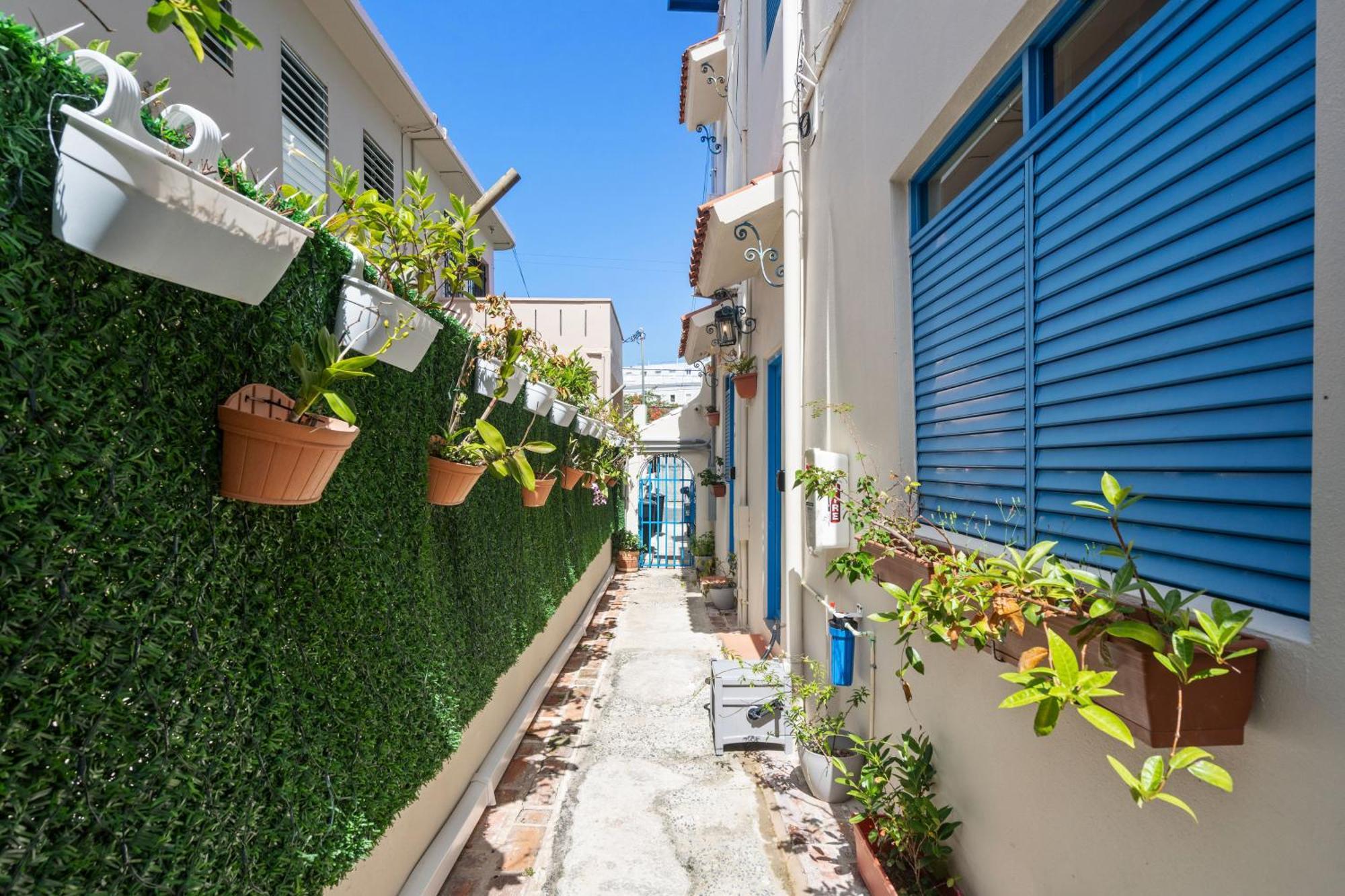 Artistic & Cozy Garden In Santurce Mm8 Apartment *