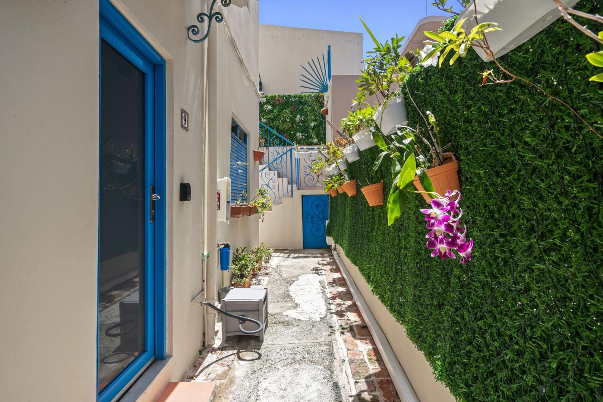 Artistic & Cozy Garden In Santurce Mm8 * San Juan