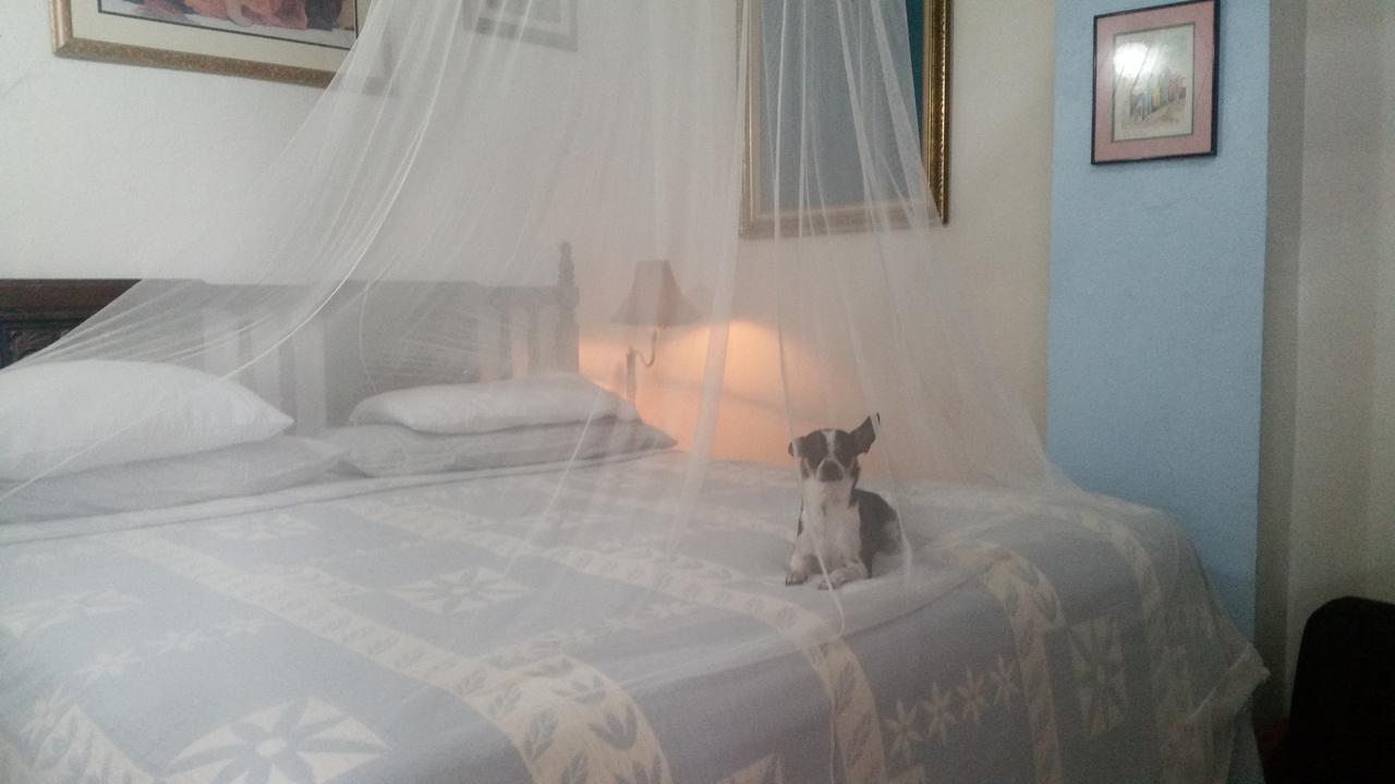 Casa Tripgogo Bed and breakfast 2*