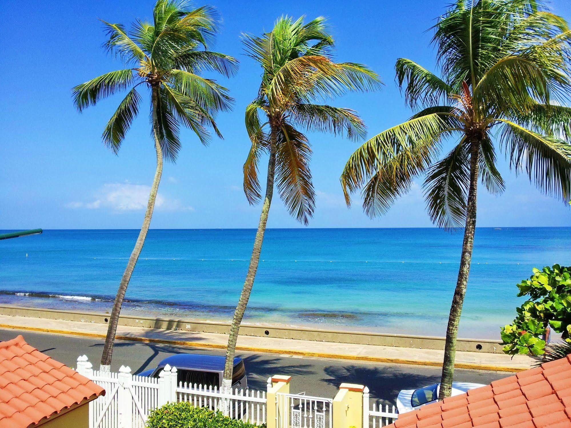 Hotel Tres Palmas 3*