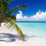 Beautiful 2 Bedrooms Aparment Pr.