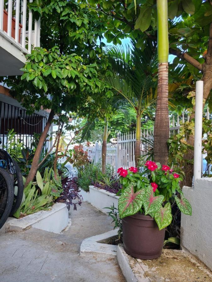 Casita Natural Village #6 Y #8
