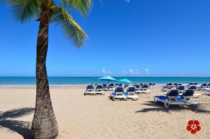 Mjac Luxury Apartamento San Juan