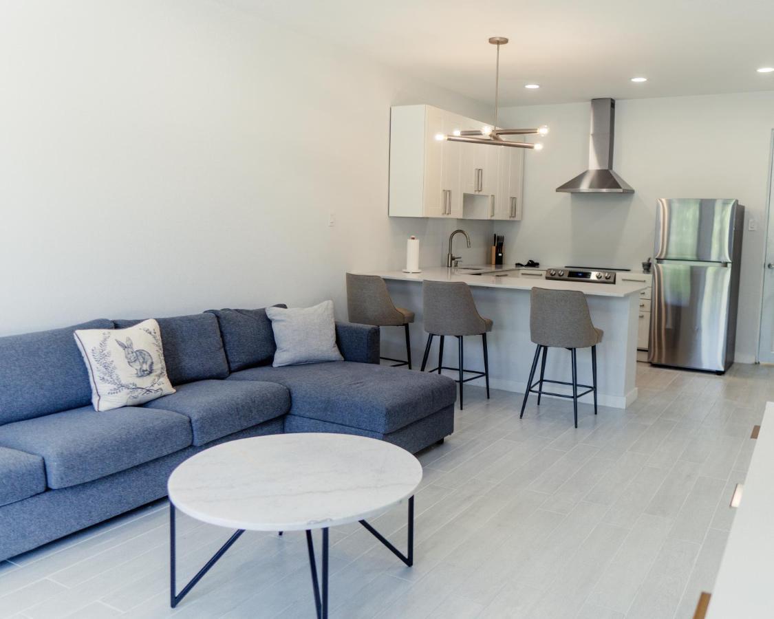 Center - Spacious - Modern - Perfect Location Apartment *