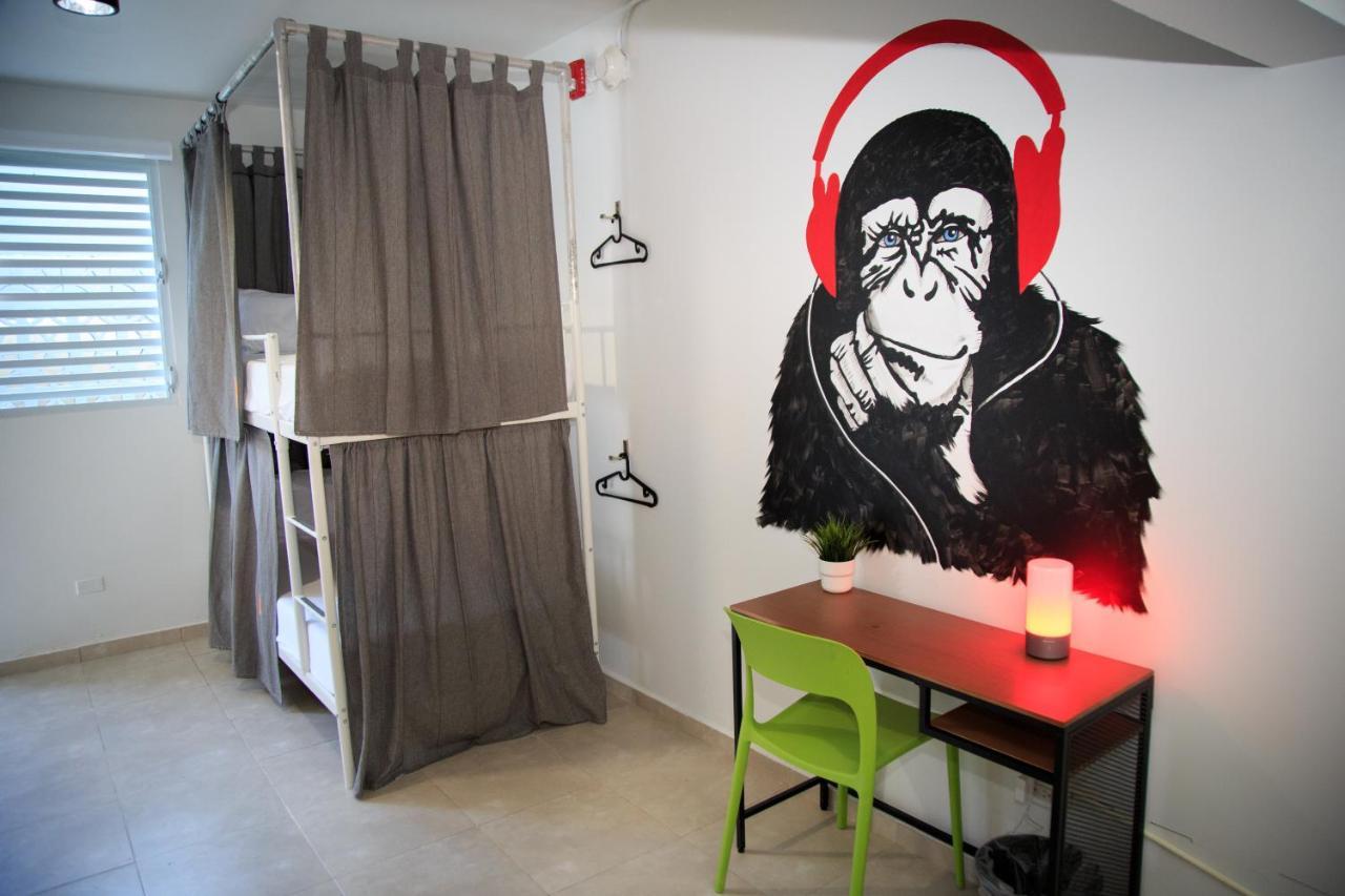 Nomada Hostel- Isla Hostel *