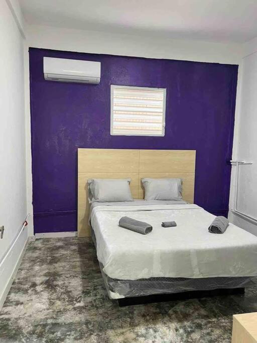 Сasa de vacaciones 18 Bedrooms 32 Guest La Placita De Santurce By Rentalspr *