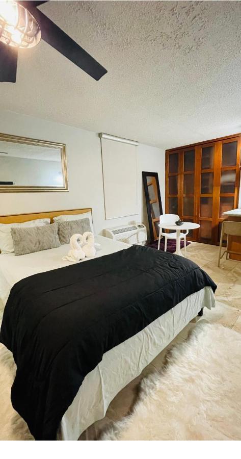 Cozy At Miramar & Convention Center Apartment