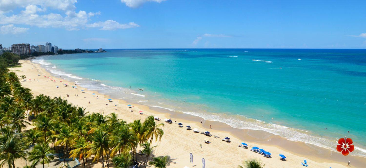 Kasa Seaview At Coral Beachfront Pool Apartamento *