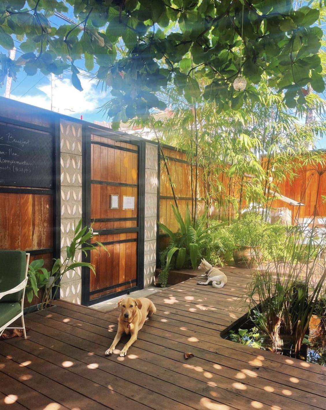 Hotel La Botanica *