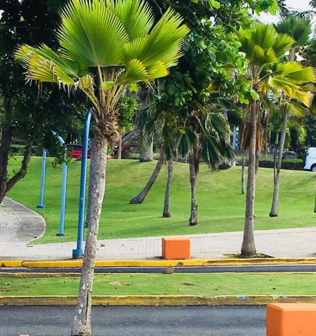 Favoriteplace1br 1 Btr 2 A/cs Tv Wf 1 Pk -4 Guests Apartamento San Juan