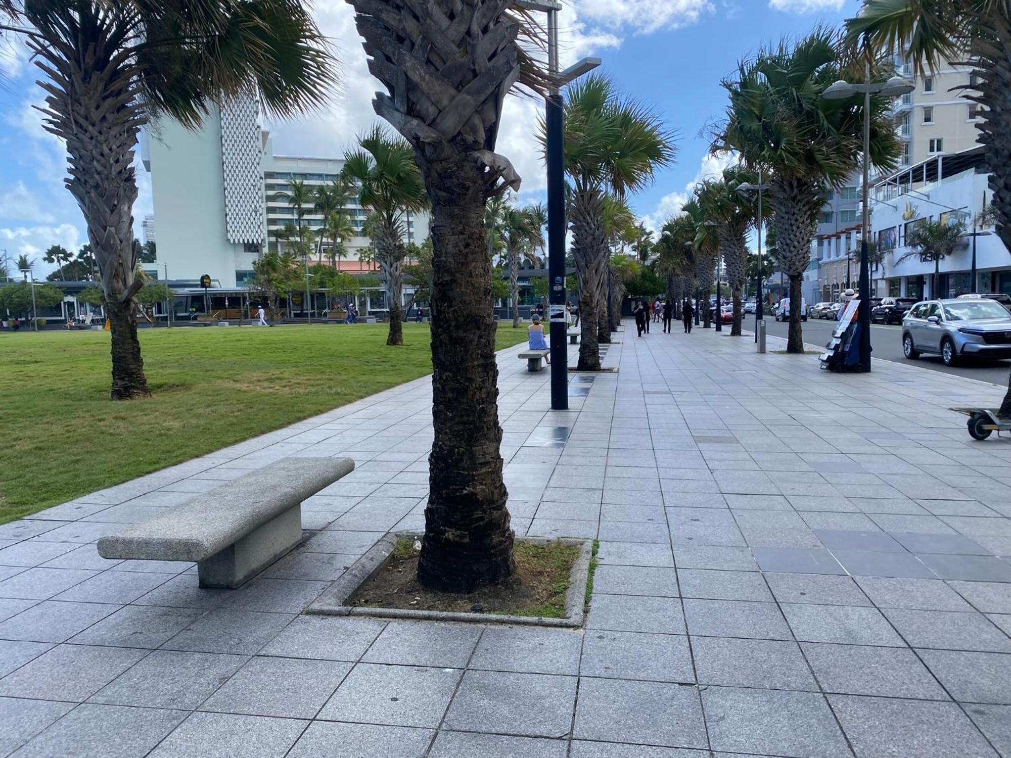 Apartamento At Heart Of Condado With Front View Terrace San Juan