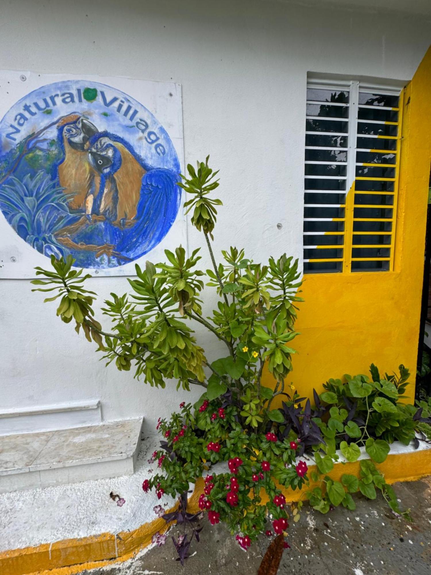 Apartamento Casita Natural Village #6 Y #8 *