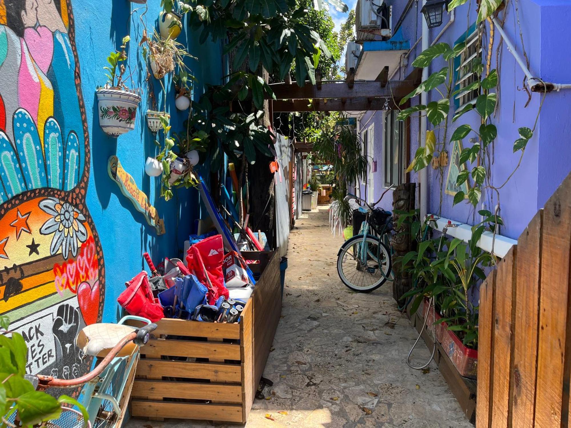 Lower Price, Style, Discount In San Juan,pr, Beach, Free Bikes (adults Only) Apartamento
