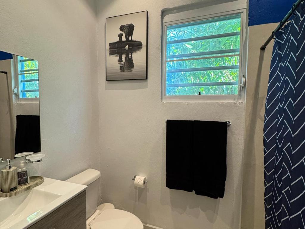 Elegant 1-br Penthouse In Condado! Apartamento San Juan