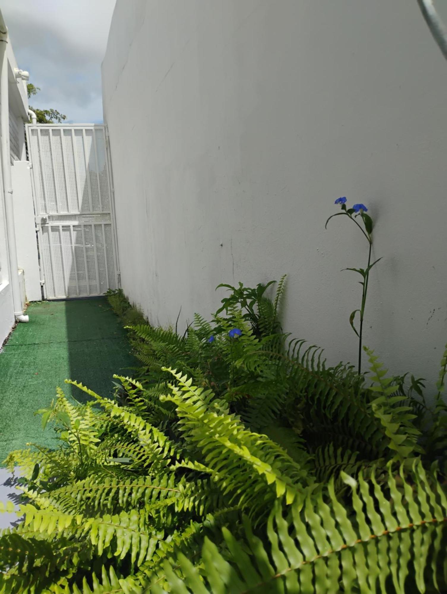 Apartamento Black & White Comfort San Juan