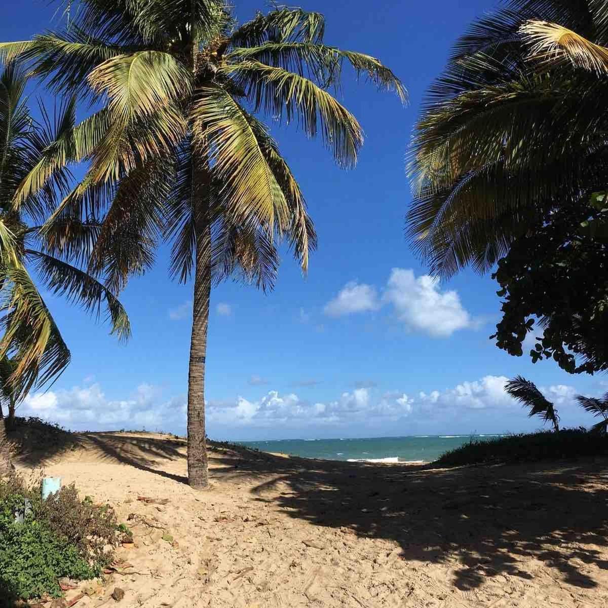 Apartamento Stunning 2br W Parking - Walk To Beach!