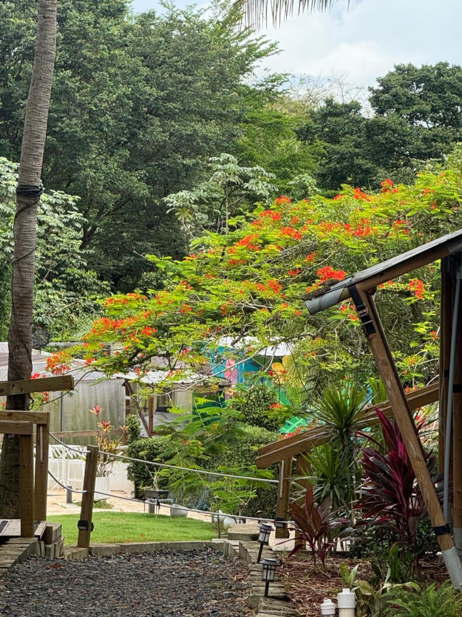 Jardin Al Bosque-glamping Luxury tent *