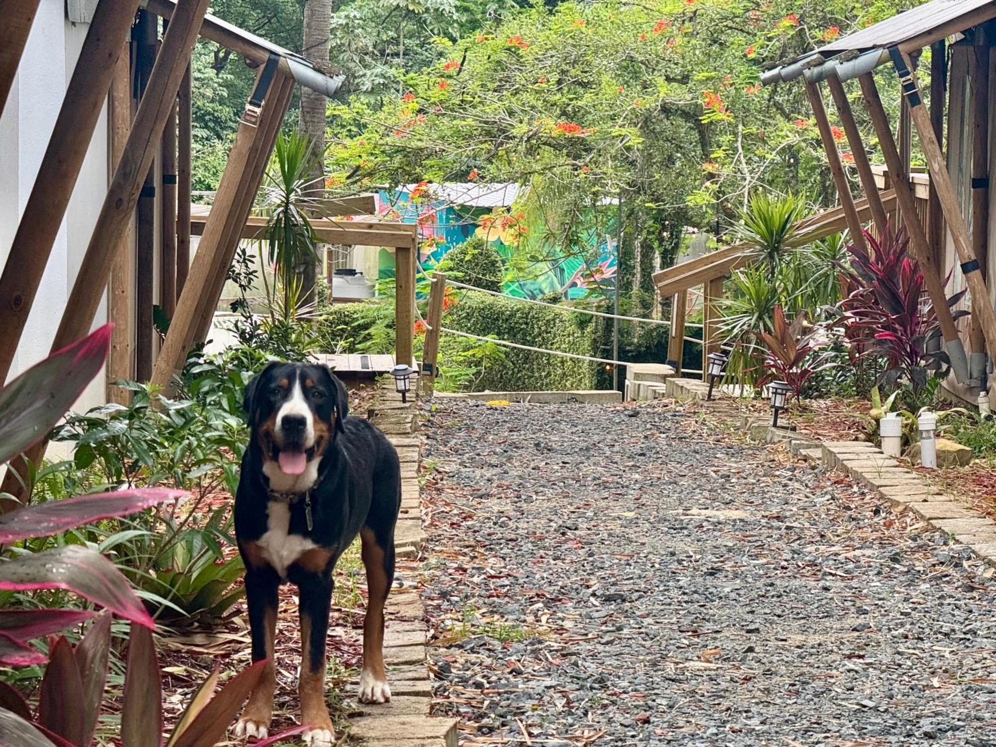 Jardin Al Bosque-glamping San Juan