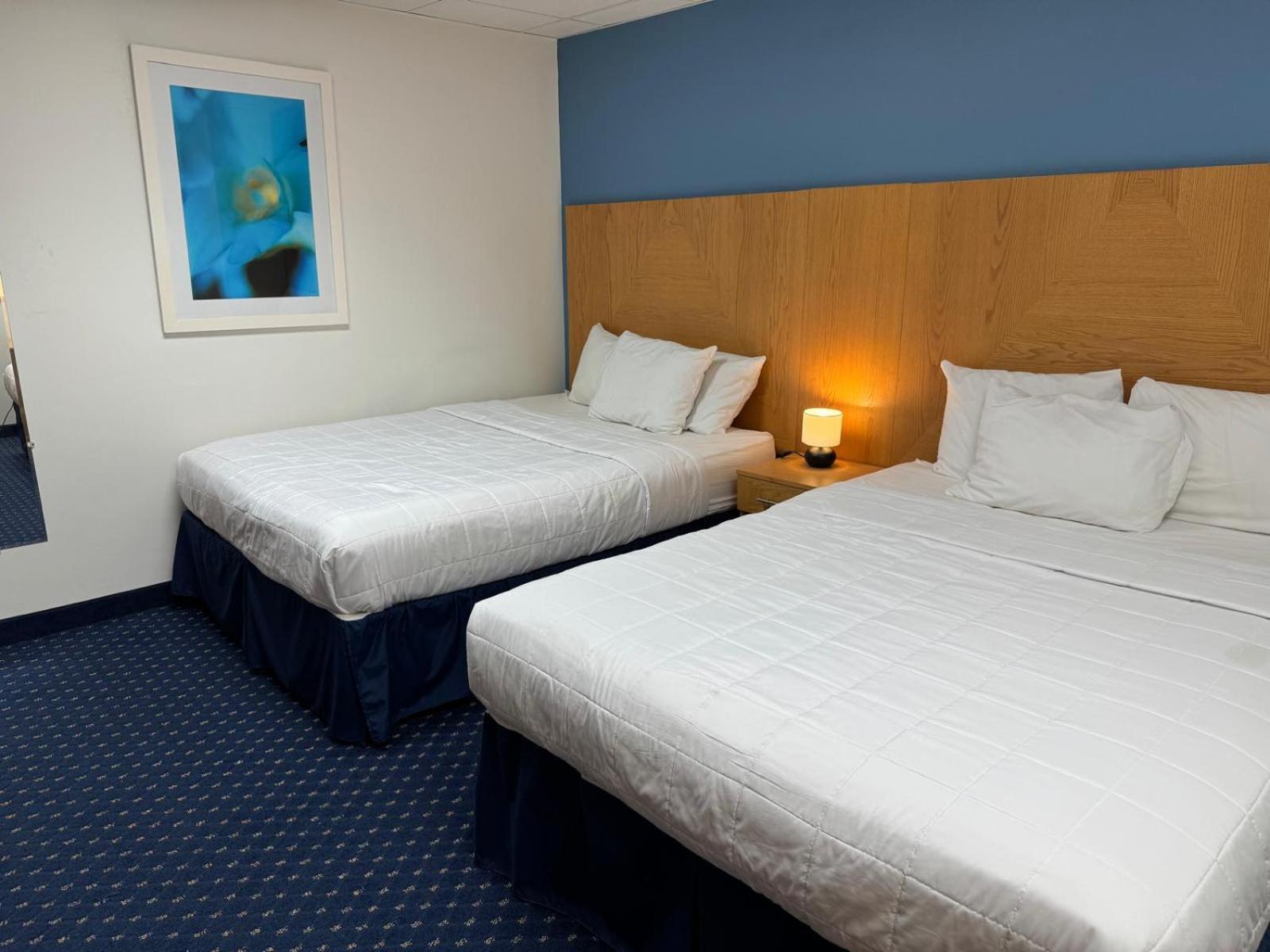 Hotel Ficus San Juan