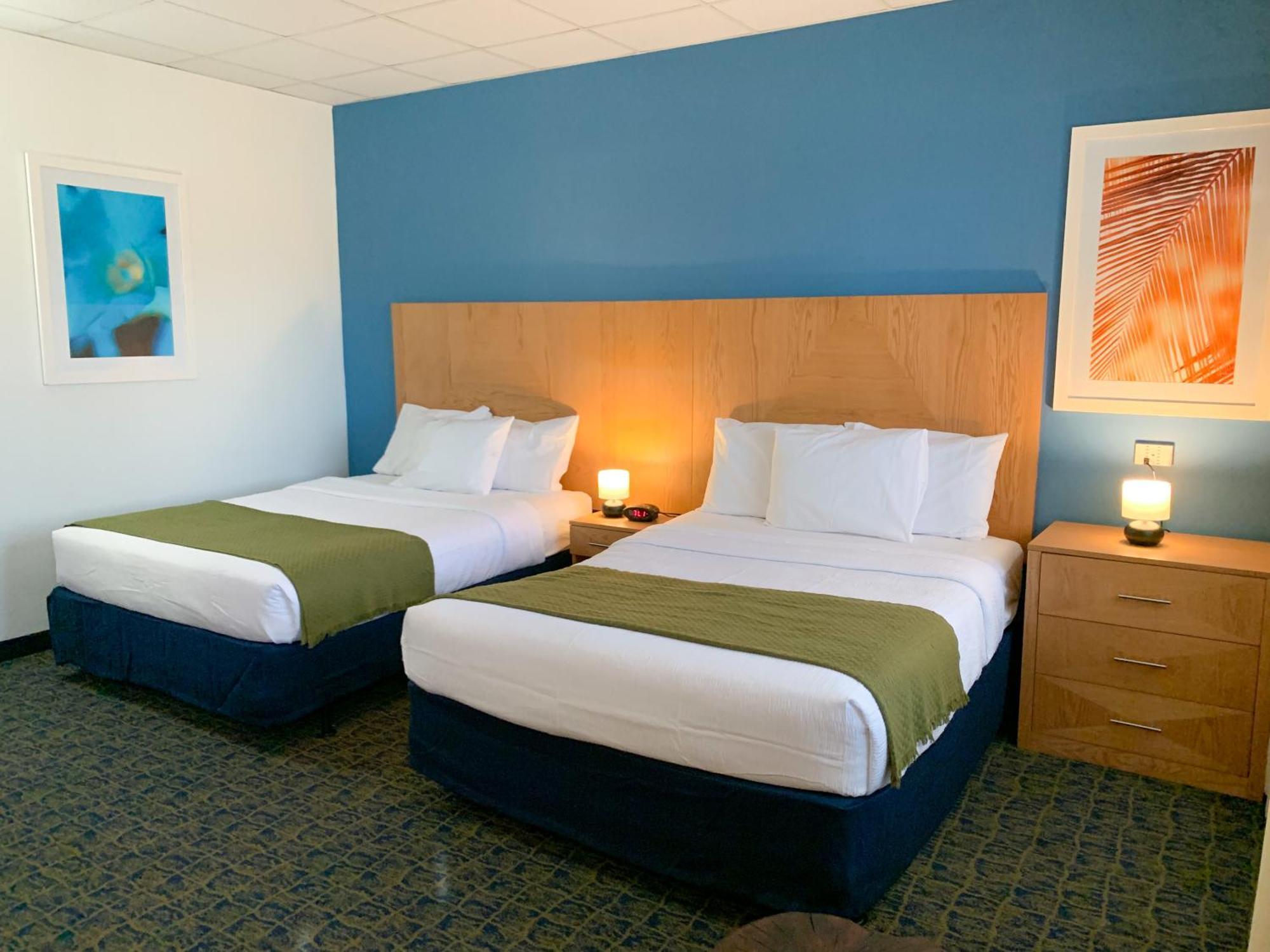 Hotel Ficus San Juan