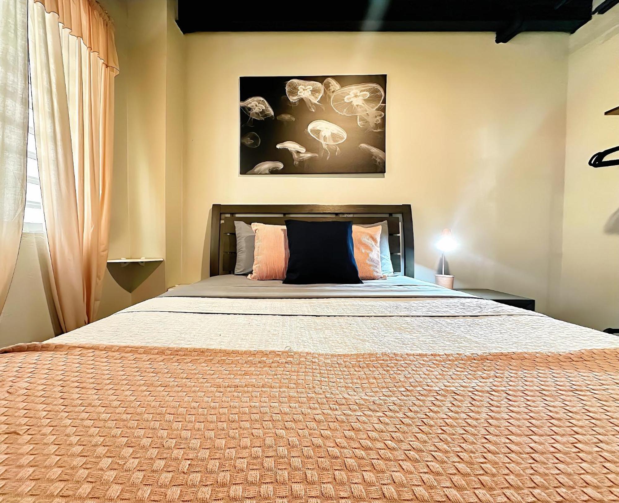 The Lofts At Santurce