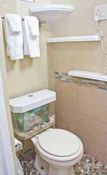 Lower Price, Style, Discount In San Juan,pr, Beach, Free Bikes (adults Only) *