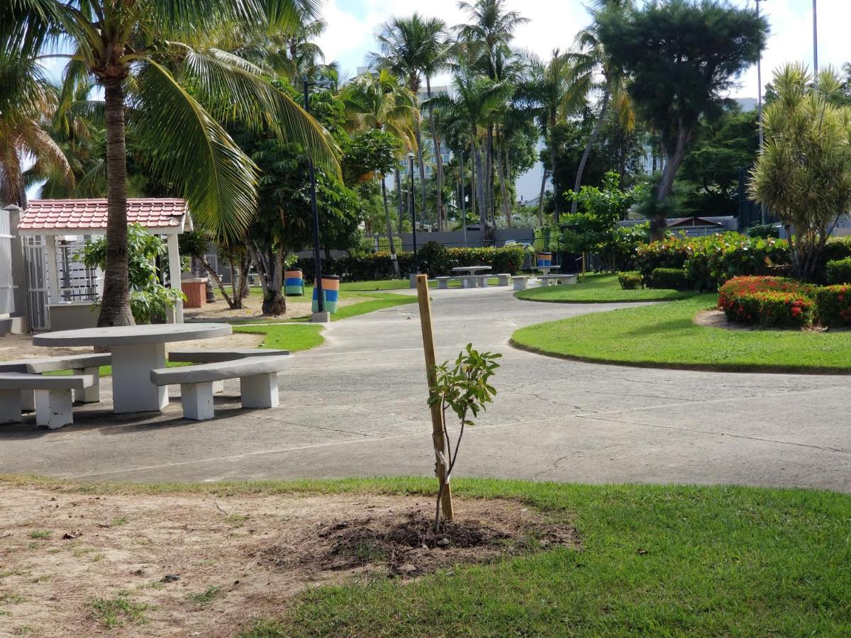 Apartamento Beach Front At Coral Beach *