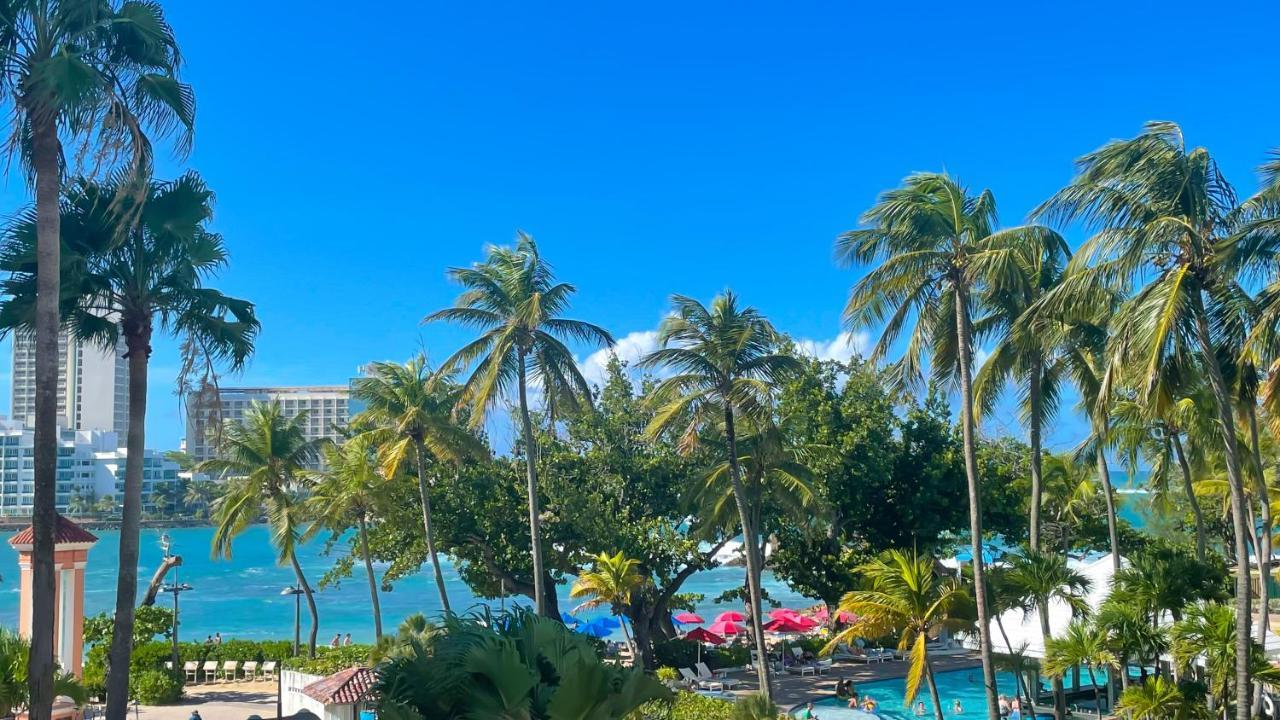 Jungla Del Mar - Oceanfront City *