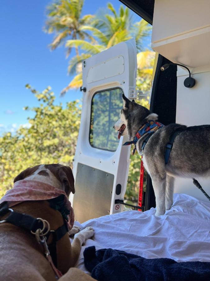 Discover Puerto Rico In Our Campervan Carlos By Del Sol