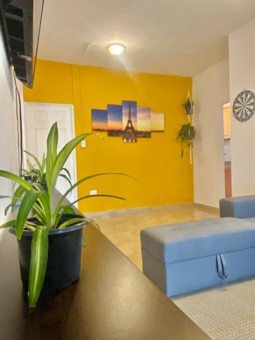 5 Min From Airport Sju Secret Garden Pr Holiday home