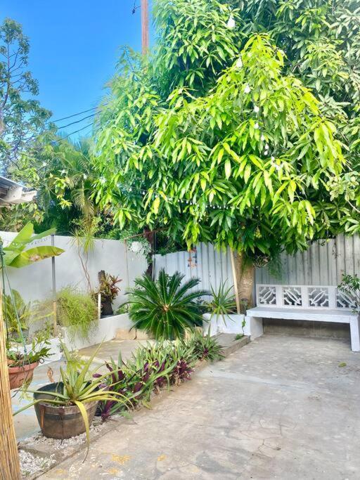 5 Min From Airport Sju Secret Garden Pr * San Juan