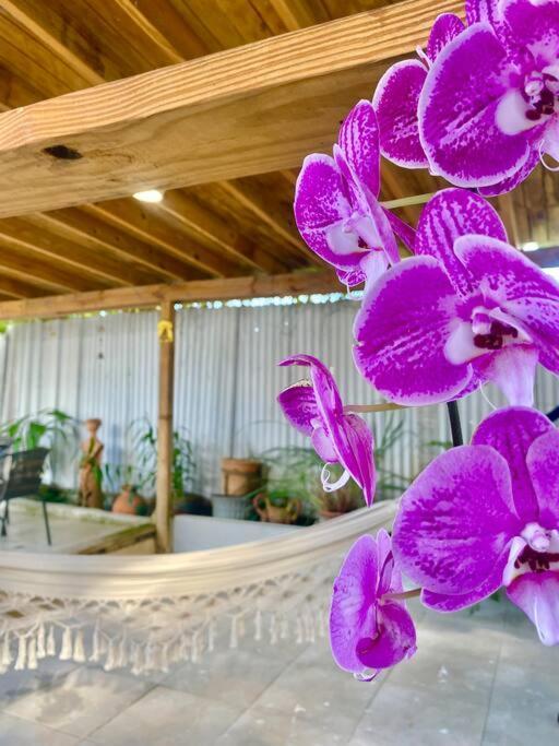 Holiday home 5 Min From Airport Sju Secret Garden Pr San Juan