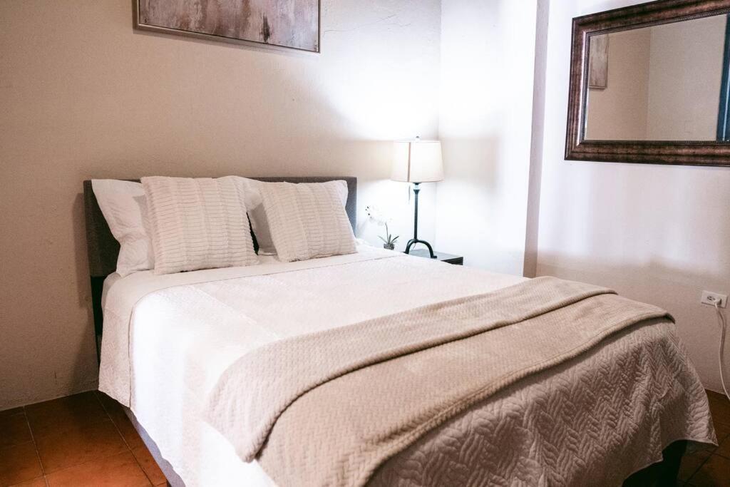 Apartamento Colonial Style Apt Located In Great Location Osj *