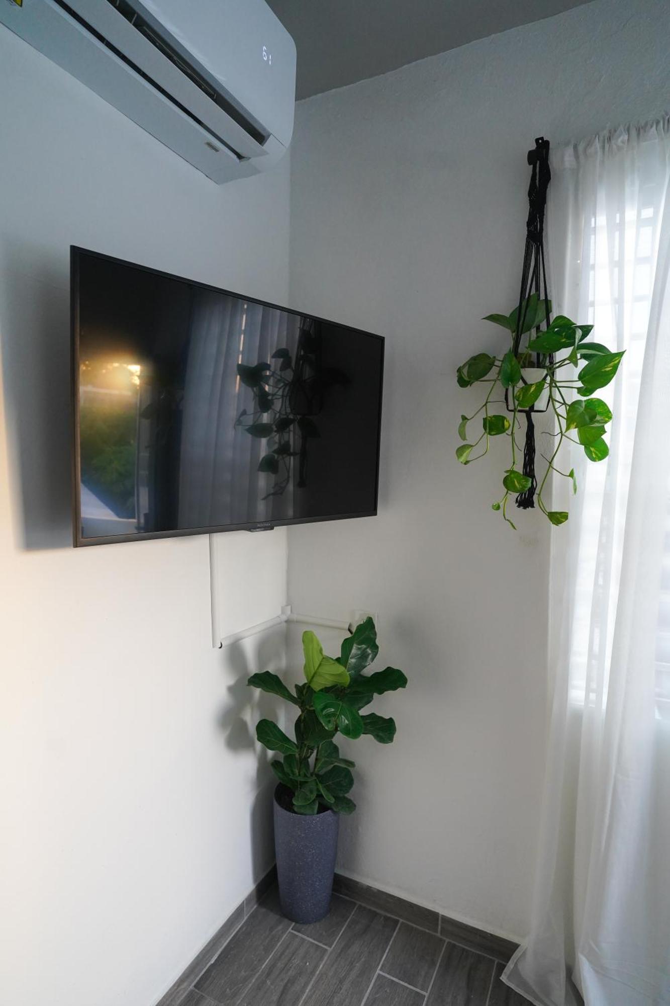 Apartamento Palmeras 3 With Solar Panels
