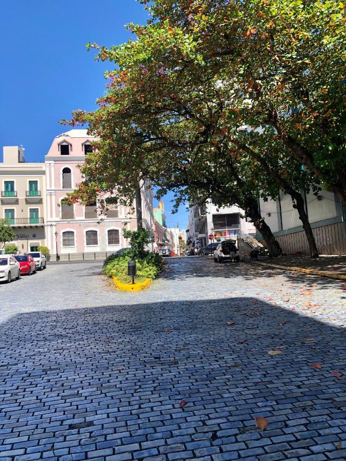 Navona