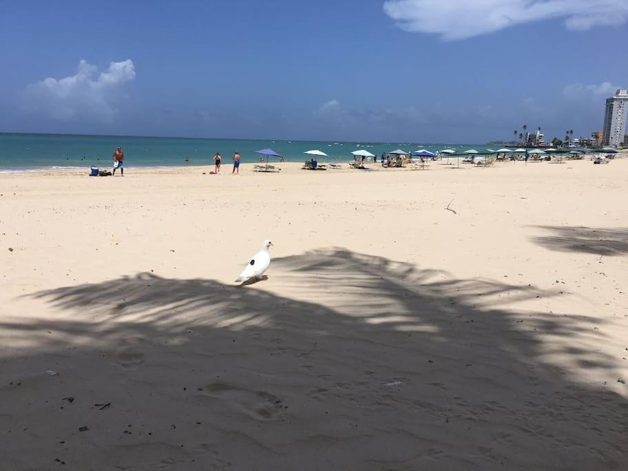 Сasa de vacaciones Perla Roja San Juan