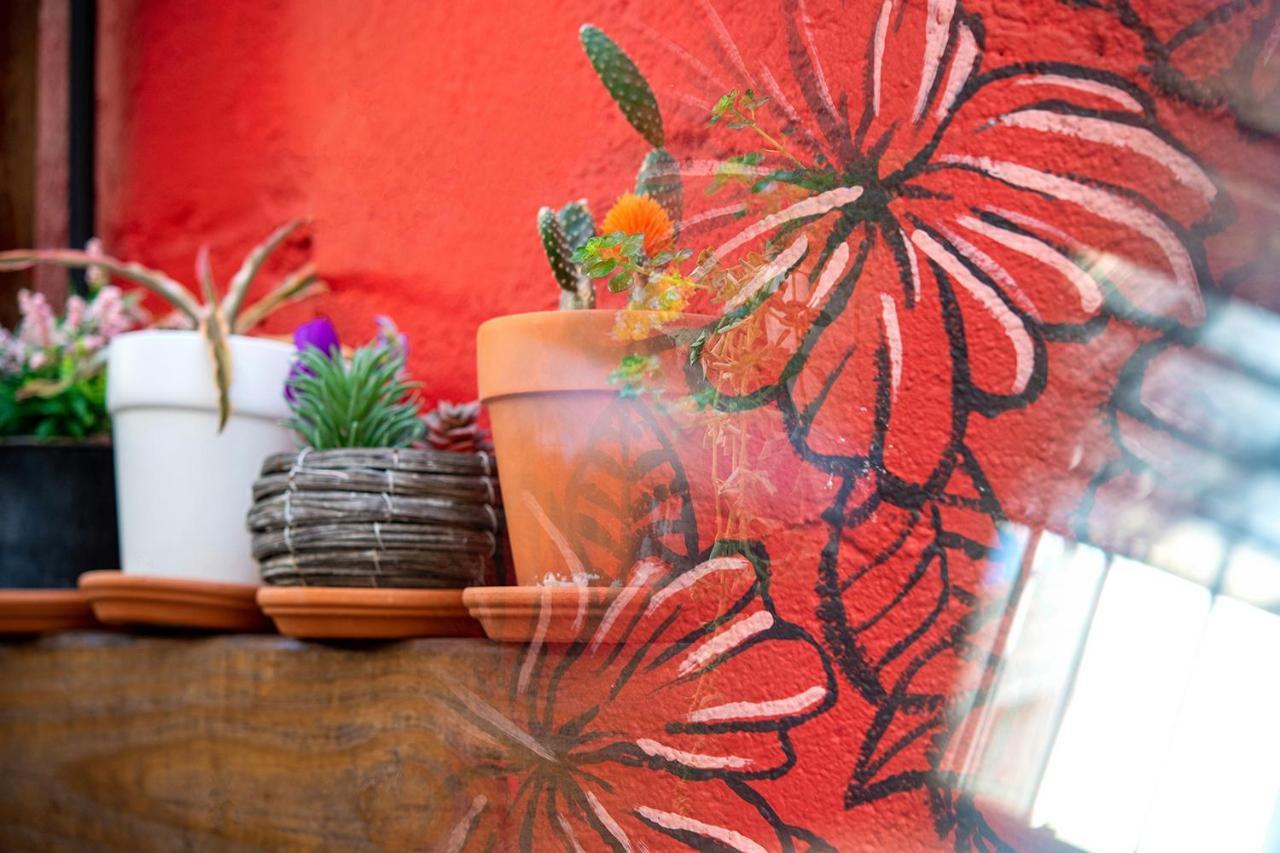 Tapia Haus 103 - Vibes Within Walking Distance 3* San Juan
