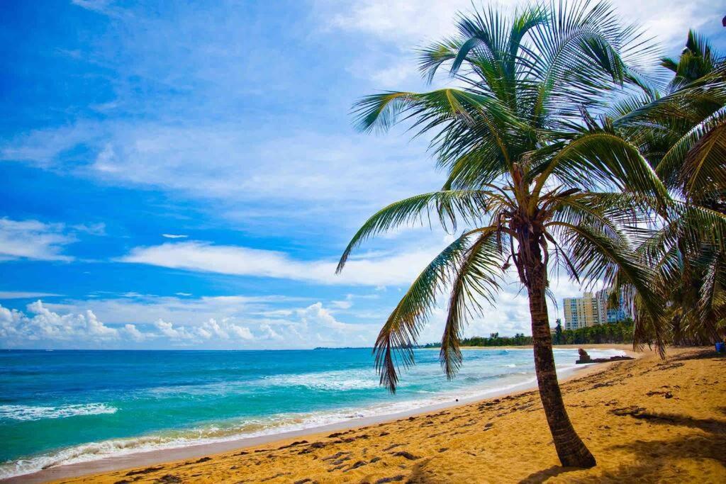 Apartment A1-cozy 1 Bed-fast Wifi, Walk To Markets, Eateries San Juan