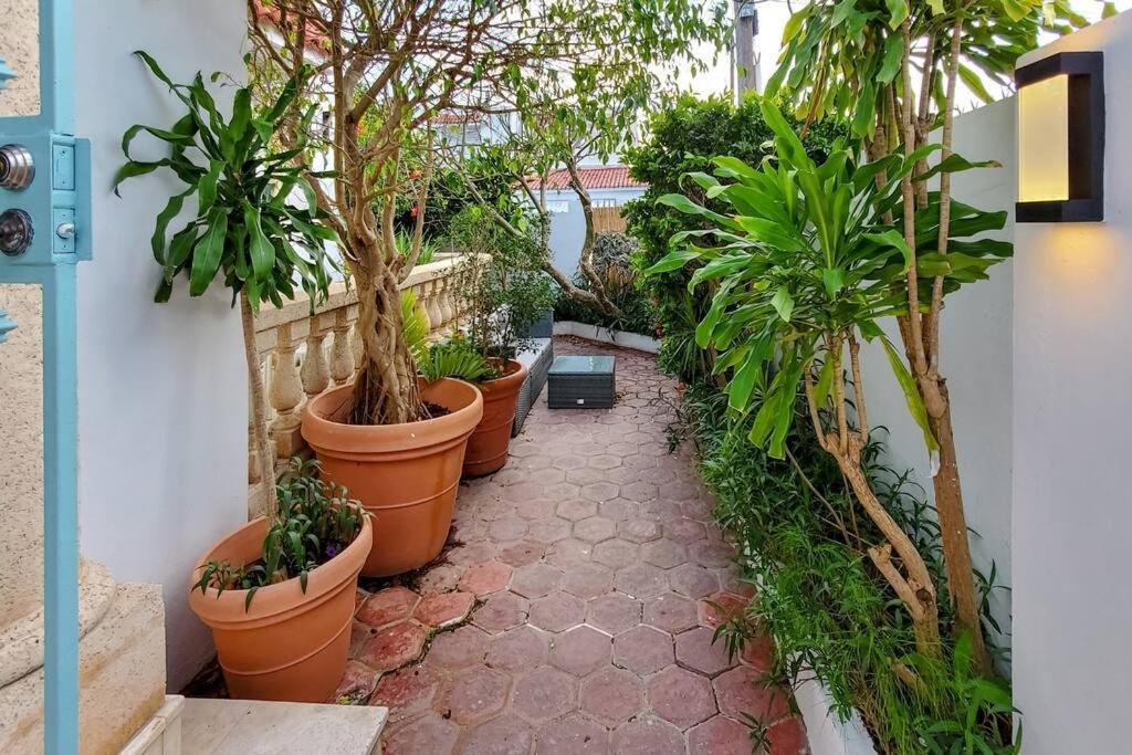 Casa Tortuga - Luxury By The & Close To All!