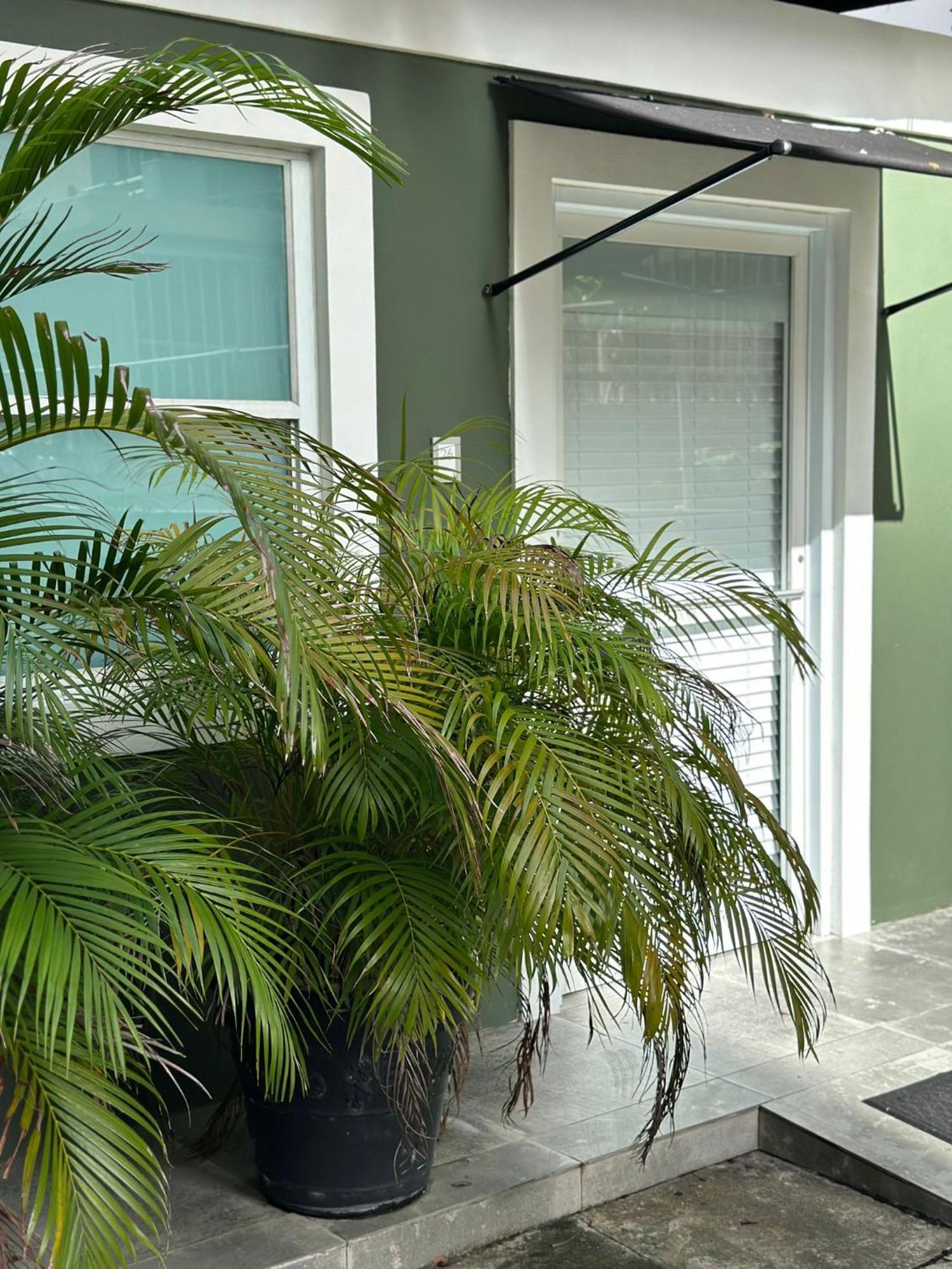 Hotel Casa Condado San Juan