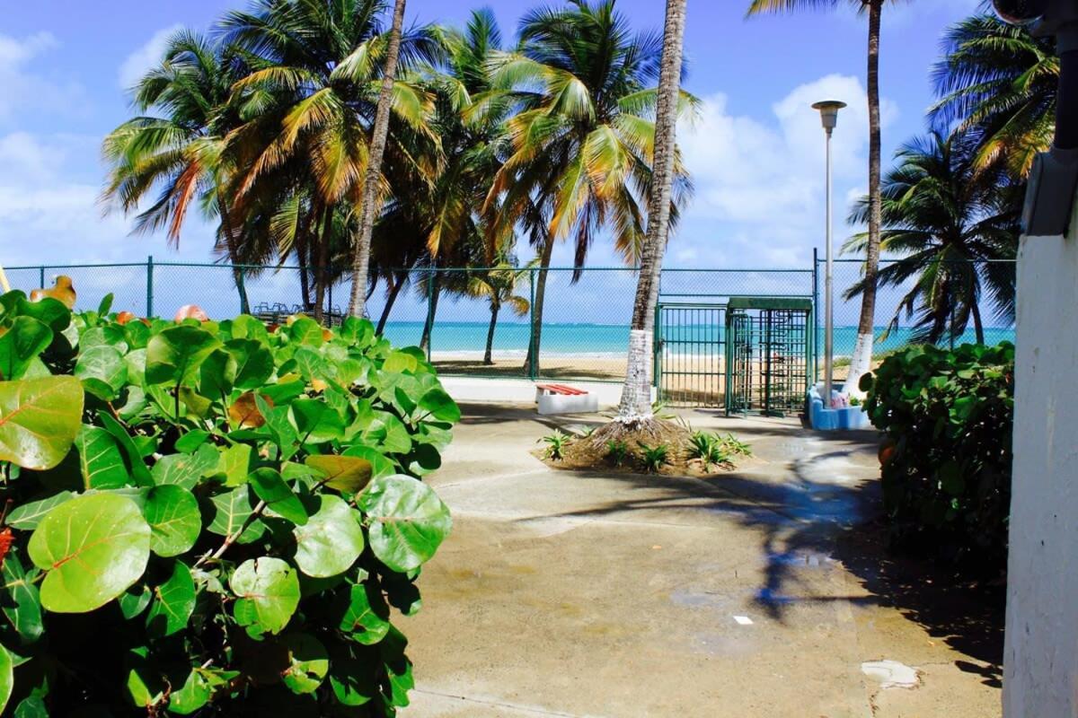 2br Gem Ocean Front Building Isla *