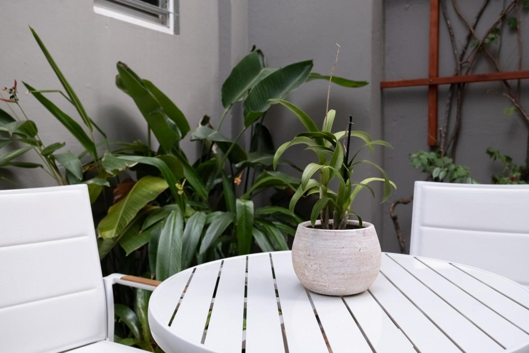 Seaside Caribbean Comfort - Between And Apartamento *