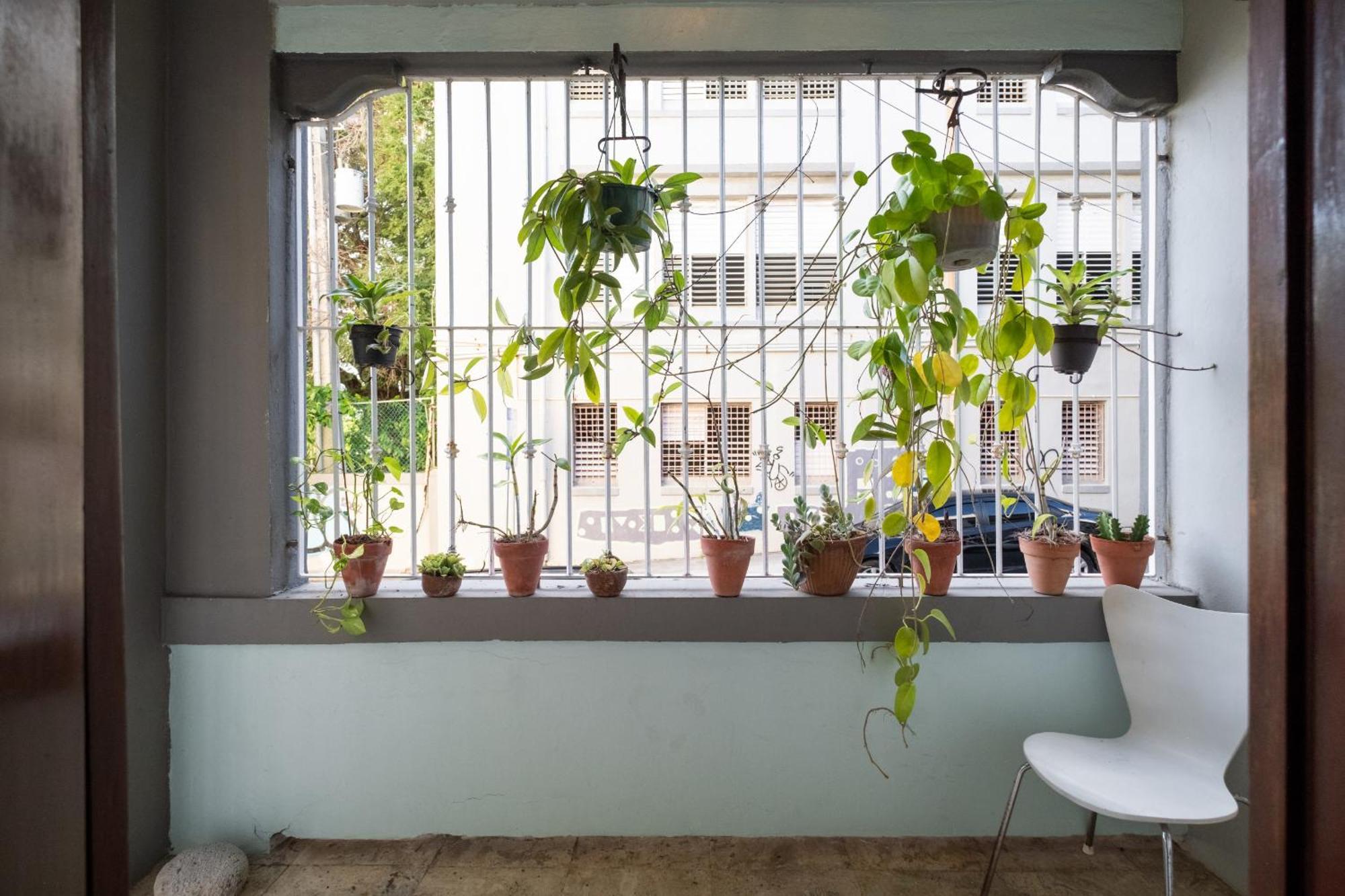 Seaside Caribbean Comfort - Between And Apartamento
